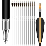 SUNYA Archery Hunting Arrows for Compound Bow and Recurve Bow. 30IN Carbon Shaft Spine 400/500 with Removable Tips. 12PCSPack (Black(Golden Nock), Spine 500-30Inch)