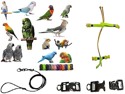 Arnés para loros grandes que evita escapes con conectores de metal o plástico 6