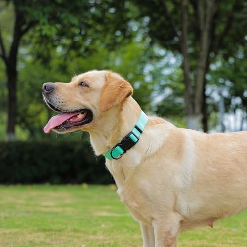 Nimble Wasserdichtes Hundehalsband, leicht zu reinigendes Gummihalsband mit Schnellverschluss, passend für kleine, mittlere oder große Hunde