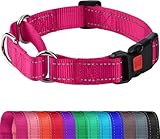 Joytale Martingale Collar for Dogs, Reflective Heavy Duty for Safety, Quick Release Buckle, Adjustable Nylon Collars for Medium Dogs Walking Training, Hotpink,M