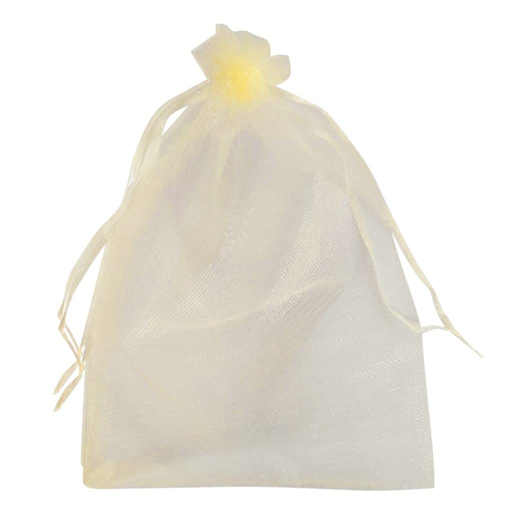 Fruit netting, 50pcs Garden Vegetable Fruit Grow Bag, For Plants Grapes Protection Drawstring Netting Makeup Mesh Pouch(50pcs 17x23cm a)