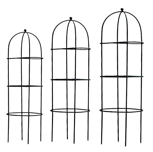 Image of CINAGRO Metal Obelisk Trellis Tubular Plant Cage,Plants /Plant Creepers /Climbers /Plant Stem Support /Climbing Support for Home Indoor & Outdoor - Durable, Black, Set of 3
