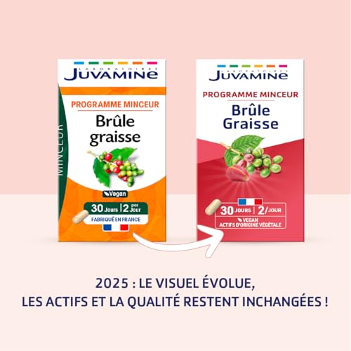 JUVAMINE - Brûle Graisse - Programme Minceur - Thé vert, Kola et Café Vert - Vegan - Aide au Contrôle Général du Poids - Contribue à Tonifier l'Organisme - 60 Gélules - Fabriqué en France – Image 4