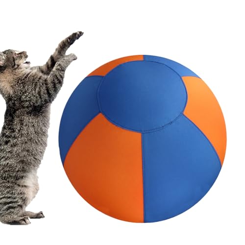 ݉̂錢p{[ ̂߂̑ϋv - C^NeBuȌ̂{[ | ȃGb`gV U ƒ _ rpybgpi