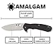 Spyderco Amalgam Premium Flipper Knife with 3.8