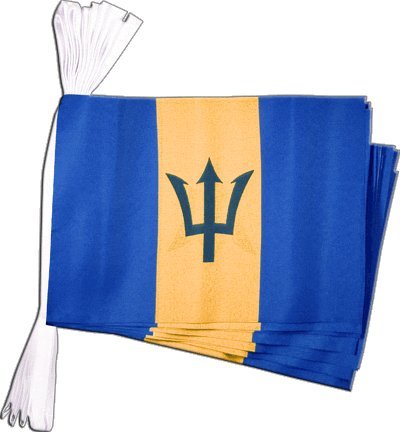 Guirlande drapeau Barbade Digni pavillon festif 5,9m