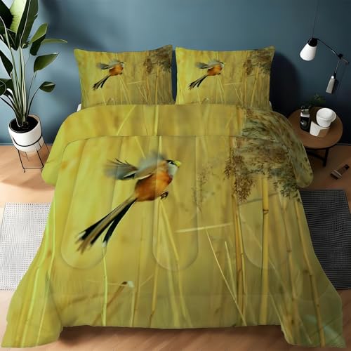 Genérico Paradoxornis de Heude Edredon Cama 90, Estilo Natural y Vivo Juego de Cama de Microfibra, 1 Nordico 150x220 y 2 Fundas, Ligero y Suave, 4 Estaciones B1688