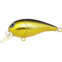 クランクベイト 楽天市場】【一部期間限定セール】一誠(issei) G.C.クランク