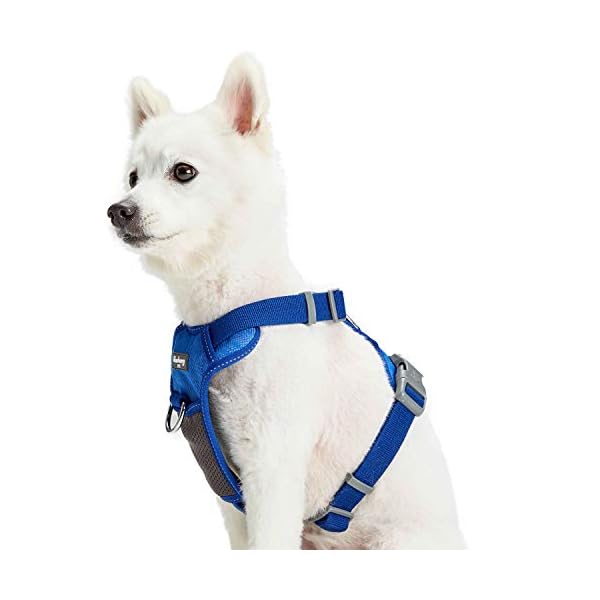 Blueberry Pet Soft & Comfy Reflective Mesh Padded No Pull Dog Harness Vest in Blue, Medium, Adjustable Harnesses for Dogs Blueberry Pet Soft & Comfy Reflective Mesh Padded No Pull Dog Harness Vest in Blue, Medium, Adjustable Harnesses for Dogs