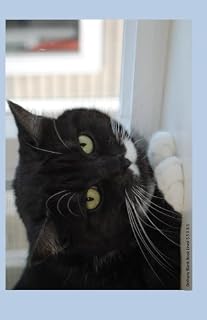 Bethany Blank Book Lined 5.5 X 8.5: 5.5 by 8.5 inch 100 page lined blank book suitable as a journal, notebook, or diary with a cover photo of Bethany, ... feline leukemia. (Cats of Ralphie's Retreat)