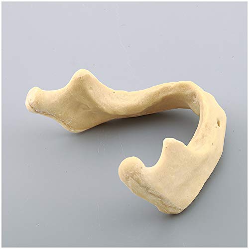 Modèle d'implant mandibulaire : formation au forage sans risque
