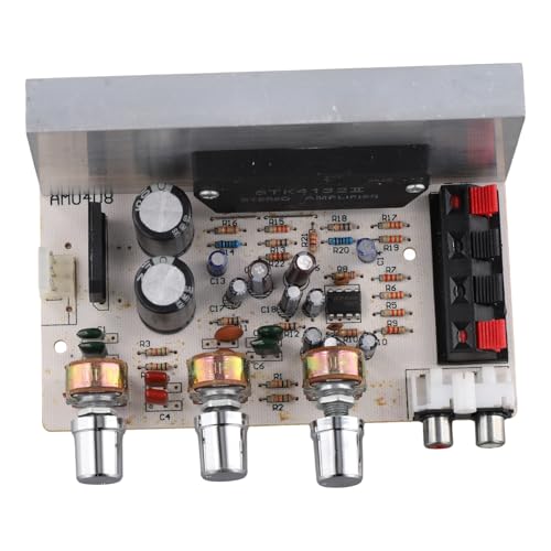 DX-0408 Scheda Amplificatore di Potenza Audio Stereo Digitale A Film Spesso A 2.0 Canali con Manopola in Elettroplaccato