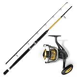 Waller Wels Angelset Combo - WFT Rute & Black Cat Rolle Set - Angeln No.1. Waller Angeln Set komplett Profi Ausführung. Welsrute und Welsrolle