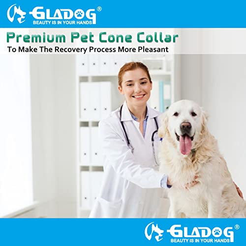 Soft Inflatable Dog Cone Collar Set, Protective Dog Donut Collar With A Comfy Plastic Cone For Dogs After Surgery, 2 E-Collars Protect More Areas, Adjustable Dog Cones For Large Medium Small Dogs (M) #TOP5