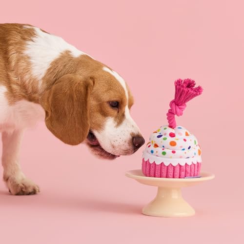 LE SURE Dog Birthday Cake Toy - Cute Squeaky Dog Toy for Gentle Chewers with Interactive Tug Rope, Plush Interactive Toy for Adult Dogs Birthday Party, Standard, Pink - image 9