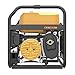 Firman P03601 Portable Generator, 3650-Watt, Recoil Start, 14 Hour Run Time - Quantity 1