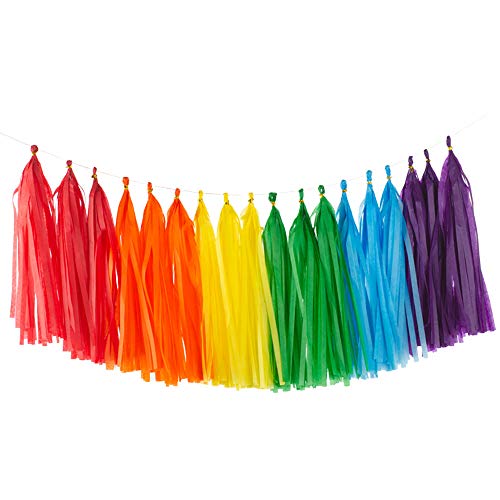 We Moment Rainbow Tissue Paper Tassels Multicolor Party Tassel Garland Banner Decorations, Diy Kits,30 Pcs #TOP27