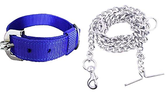 RvPaws Pet Combo Collar Belt and Stainless Steel Leash |Chain Specially for Small & Medium Dogs (3/4 Inch - Weight Upto 10-20 kg) - Blue (B0BRKL2PXQ) Amazon Price History, Amazon Price Tracker