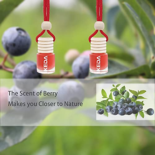 Image of ikeda fragrance Car Air Freshener 4ml Car Scents | 6pcs 45-Days Keep Fragrance | Automotive Hanging Diffuser Bottles | Remove Auto Odor Long-Lasting Fresh Air for Home Deodorize (Berry 6pcs)