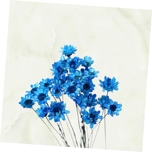 Ramo Seco de Margarita 30pcs para Decoración miniatura 2