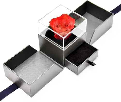 WQNB  WG[{bNX lbNX[ [ ̓v[g ւ̒av[g t[v[g i ỏԑ jv[g Ǝp ւ̈͂S܂Mtg?