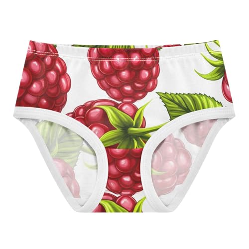 Toddler Underwear Floral 2t Cotton Little Girl Panties Artistic Briefs Kids Undies Juicy Red Raspberries White
