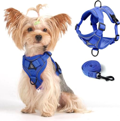 Vest Harness Leash Set for Small Dog Large Cat, Klein Blue, XL