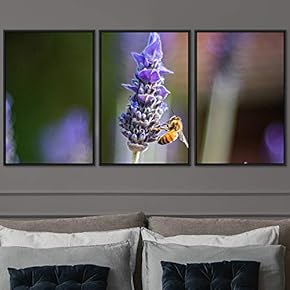 signwin 3 Piece Framed Canvas Wall Art Colorful...