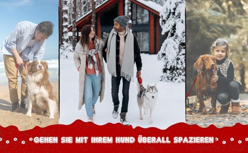 Loutep Schleppleine Für Hunde Lange Leine 3m 5m Schleppleine 10m Für Hunde 15m 20m 25m 30m Hundeleine Für Kleine Mittel Große Hund Langlaufleine Wasserfest Leicht Laufleine