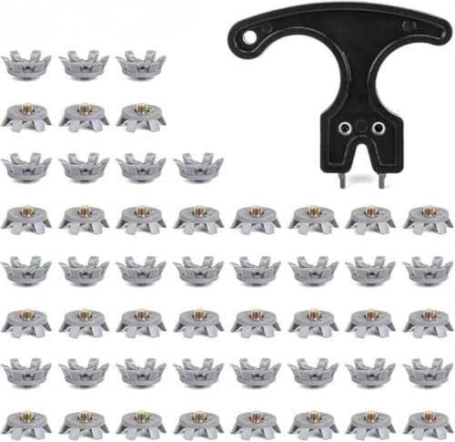 Zxyler StV[YpXpCNeb50 \tgXpCN nh`t ~?