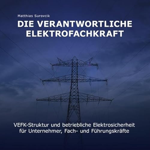 Die verantwortliche Elektrofachkraft cover art