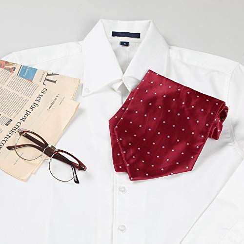 Allegra K Men's Cravat Ties Self Tied Wedding Polka Dots Ascot Tie One Size Red #TOP19