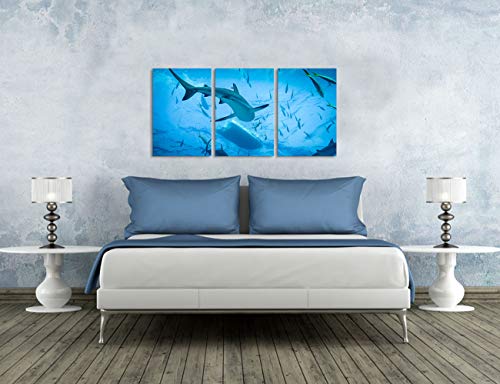 Homeoart Shark Pictures Ocean Fish Wall Art Ocean Underwater Animal Painting Framed Art Prints Home Wall Decor 16"X24"X3 Panels #TOP2