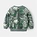 Toddler Baby Boys Dinosaur Graphic Sweatshirts Pullover Cotton Long Sleeve Crewneck Hooded Fall (Green, 3-4 Years)