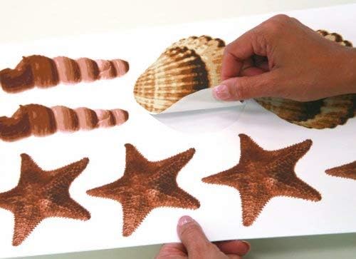 RoomMates RMK1259SCS Sea Shells Peel and Stick Wall Decals