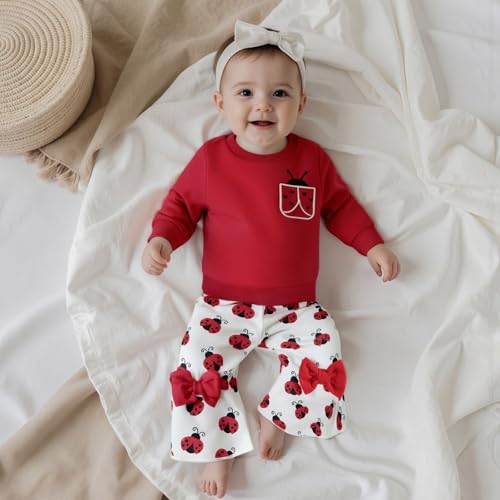 Fernvia Toddler Baby Girl Fall Clothes 2T 3T Long Sleeve Crew Neck LadyBird Bee Print Tops Flared Pants Winter Outfits3