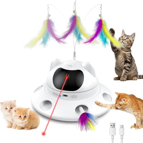 DOLOEDY 3-in-1 Laser & Feather Toy
