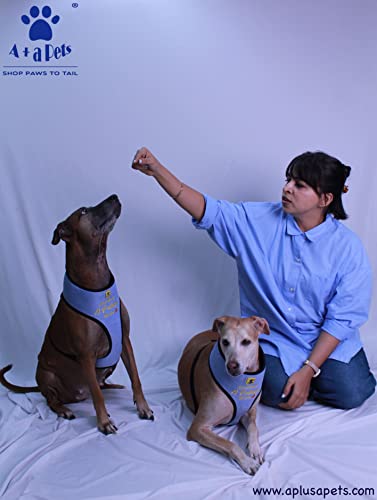 Image of A+a Pets' Pataka' Harness and Leash Combo Set, Size-S