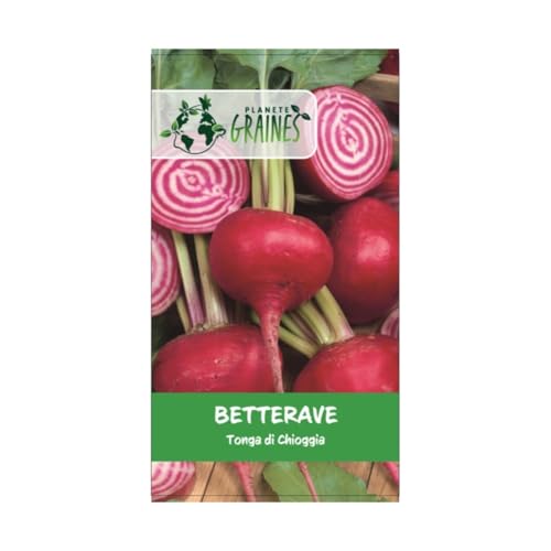 150 graines de betterave tonga di chioggia - légumes - jardin - potager