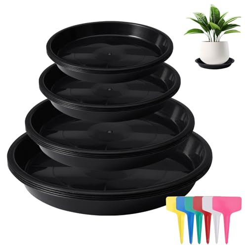 Jinsion 16 Piezas Platillos para Plantas de Plástico, 12/16/18/20 cm Platos Macetas Redondos Plástico con 18 Piezas Etiquetas, Bandejas de Goteo para Macetas para Jardines, Balcones, Patios Traseros