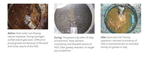 Black Diamond Stoneworks Get Serious Grease Trap Treatment Commercial Enzyme Drain Opener, Cleaner, Odor Control, Trap Cleaning, And Maintenance. #TOP4
