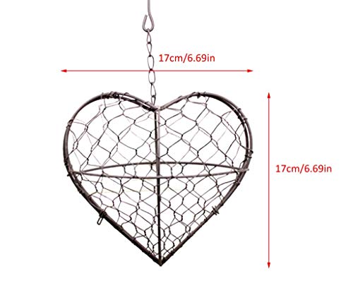 Heart Wire Wreath Frame/Heart Shape Wreath Form/Heart Shape Succulent Wall Hanging - Heart Wire Wreath Frame Hanger, Succulent Wire Wreath Frame Form Hanger (No Plants), 6.69X6.69 Inches #TOP1