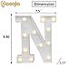 Pooqla LED Marquee Letter Lights Sign, Light Up Alphabet Letter for Home Party Wedding Decoration N