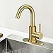Hoimpro Modern Single Handle Wet Bar Sink Faucet,Single Hole Bathroom Lavatory Faucet,Rv Small Bathroom Sink Faucet,Bar Vanity Faucet with 360 Rotate Spout,Stainless Steel/Brushed Gold