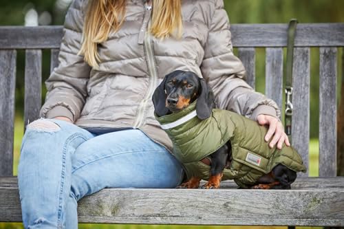 Wolters Steppjacke Cosy für Dackel, Größe:36 cm, Farbe:Olive