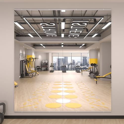 Image of LOAAO Home Gym Mirror 65 inchx30 inch, 2 PCS