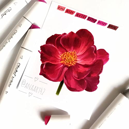 Ohuhu Alcohol Markers Slim Broad And Fine Double Tipped Art Marker Set For Artists Adults Coloring Drawing Landscape Design - 60 Colors Kaala Series Of Ohuhu Markers With Refills Available #TOP5