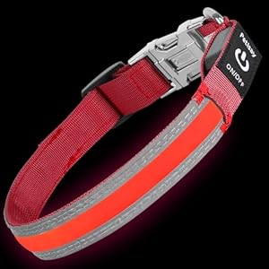 PetIsay Dog Light up Collar with Metal Buckle – Ultimate Reflective LED Dog Collar Rechargeable/Waterproof – Glow in The Dark Dog Collars for Night Walking, Camping, Foggy Weather(Red,S)