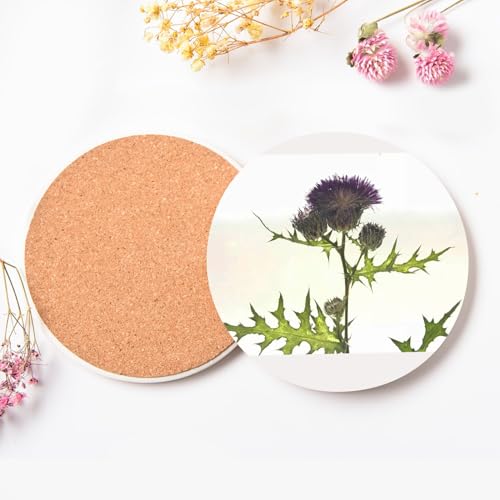 Sous-verre céramique chardon violet évite les taches d'eau sur la table x6