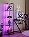 Display Shelf with RGBW Light, Color Changing Curio Cabinet Floor Lamp with Shelves Corner Standing Column Lamp Etagere Organizer Tower Nightstand Bookcase for Living Room Bedroom Office Décor Black